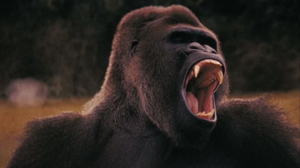 FOTO: Thinkstock